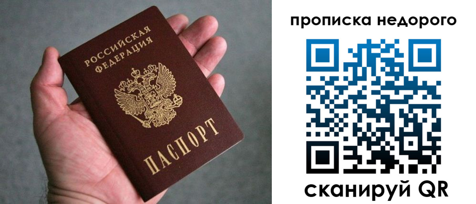 прописка поиск в Ивантеевке