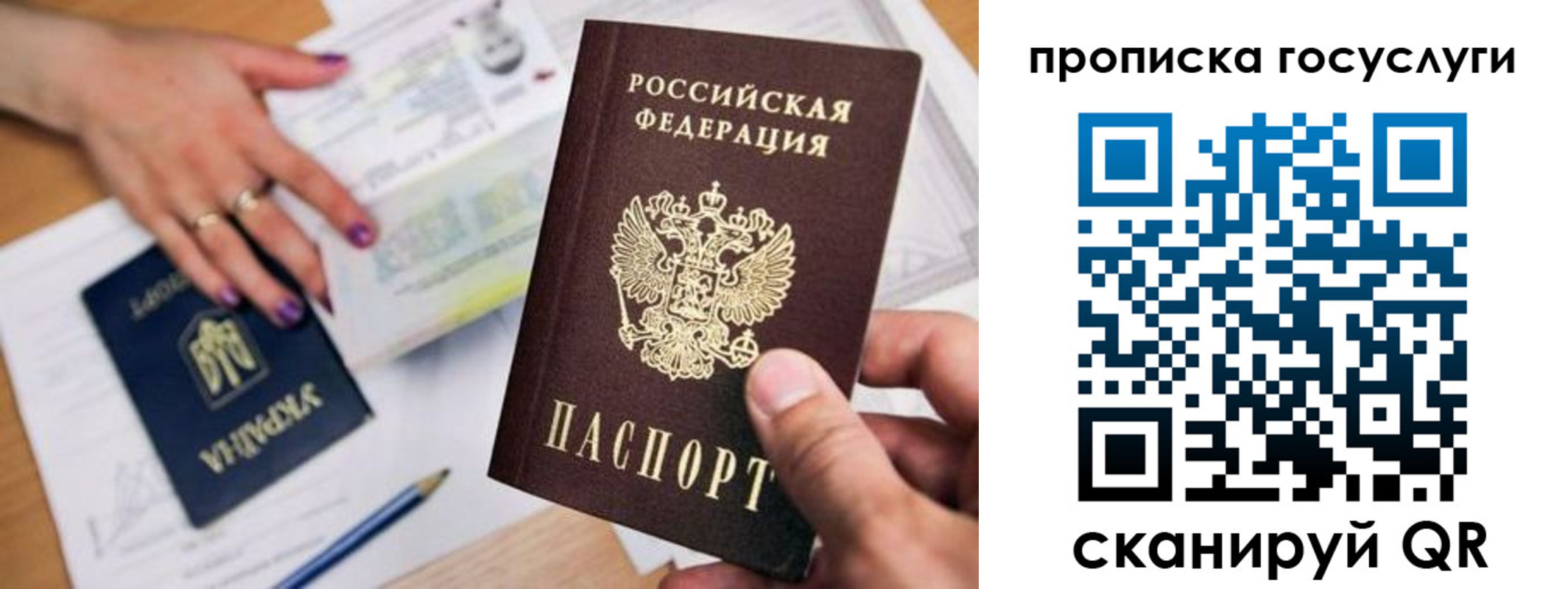 купить прописку в Ивантеевке